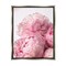 Stupell Industries Blush Pink Peonies Florals Framed Floater Canvas Wall Art